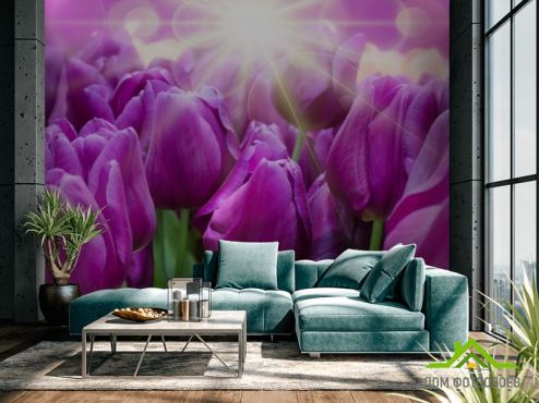 выбрать Фотообои фиолетовые тюльпаны  на стену