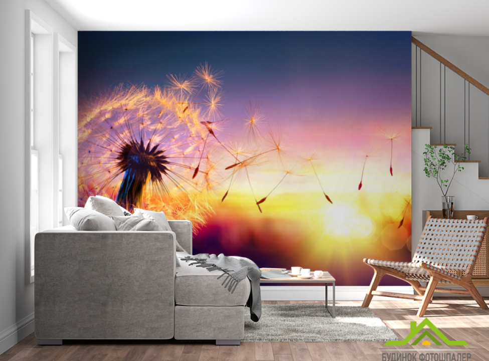 выбрать Фотошпалери кульбаба захід сонця Каталог фотошпалер на стіну