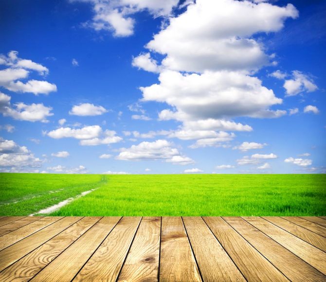 Фотообои небо и трава
