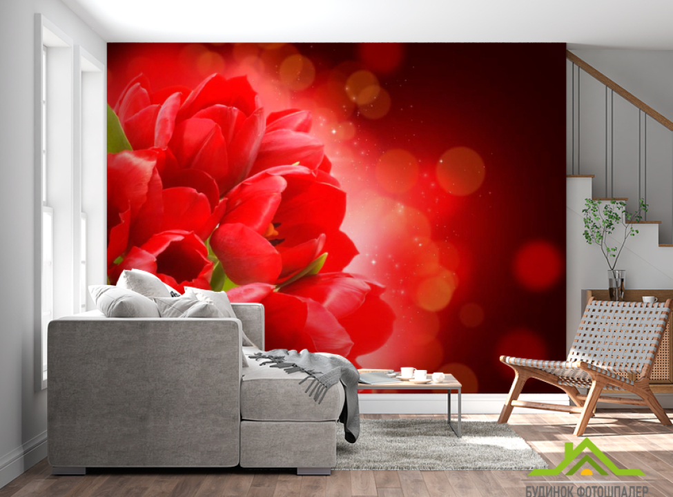 выбрать Фотообои Алые тюльпаны Каталог фотообоев на стену
