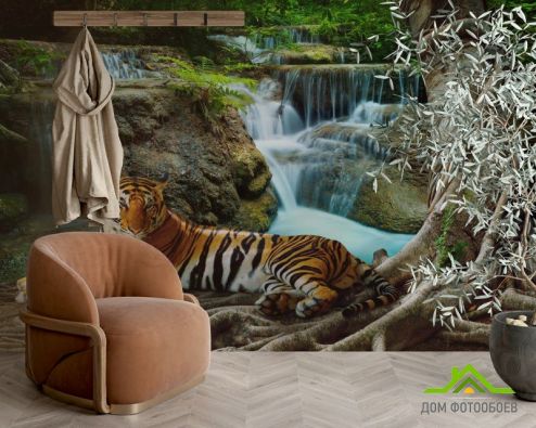 выбрать Фотошпалери тигр біля водоспаду Фотошпалери Природа на стіну