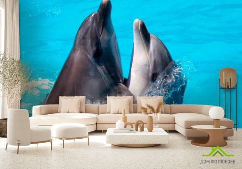 выбрать Фотообои Два дельфина Фотообои Фотообои Животные: горизонталная, горизонтальная ориентация на стену