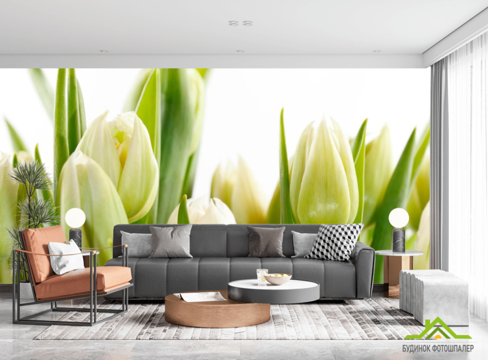 выбрать Фотошпалери Тюльпани Каталог фотошпалер на стіну