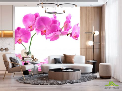 выбрать Фотошпалери У воді орхідеї Фотошпалери Фотошпалери Квіти: квадратна, рожевий орієнтація на стіну