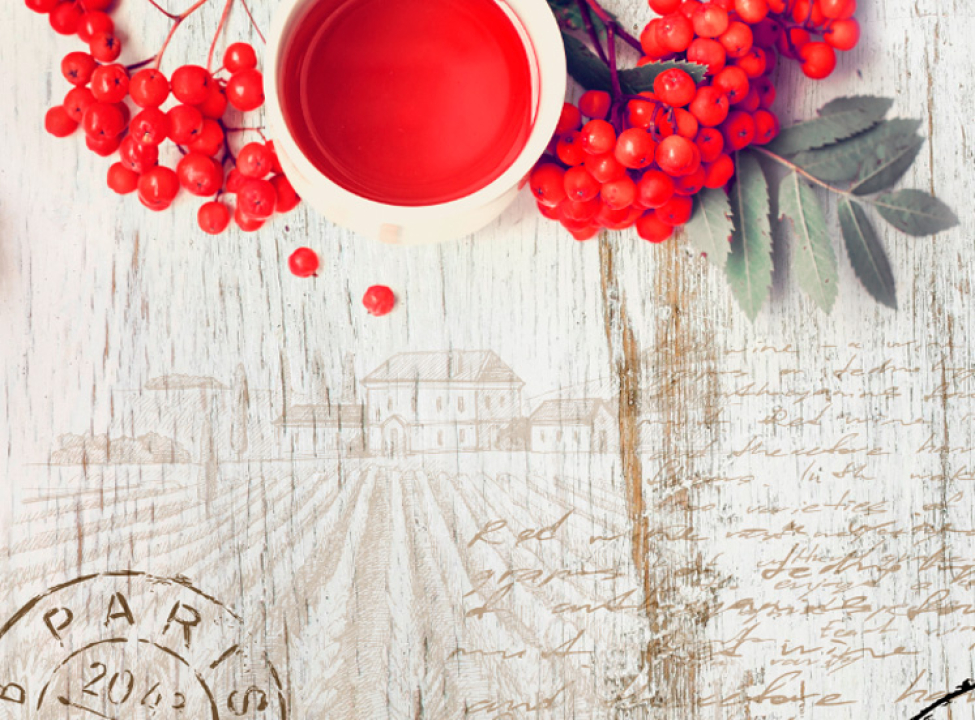 выбрать Фотообои в кухню Цветы Каталог фотообоев на стену