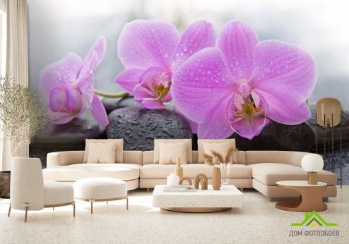 выбрать Фотообои камни и орхидеи Фотообои Орхидеи на стену