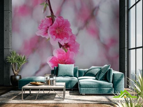 выбрать Фотообои Цветущее весной розовым дерево Фотообои Цветы на стену