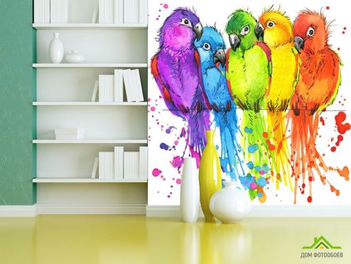 выбрать Фотообои пять разноцветных попугаев рисунок Фотообои Животные на стену