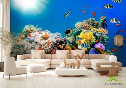 выбрать Фотообои Рыби в море Фотообои Фотообои Море: горизонталная, горизонтальная, синий ориентация на стену