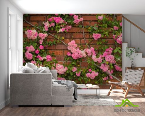 выбрать Фотообои чайная роза на кирпичной стене Фотообои Фотообои Цветы: горизонталная, горизонтальная на стену