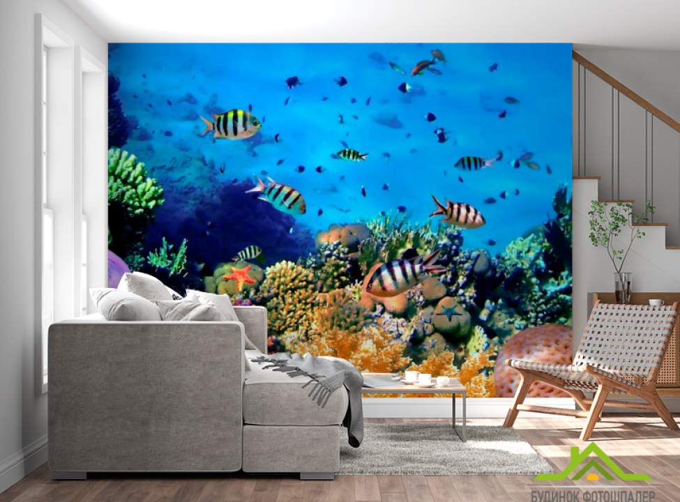выбрать Фотообои Подводный мир. Красоты. Каталог фотообоев на стену