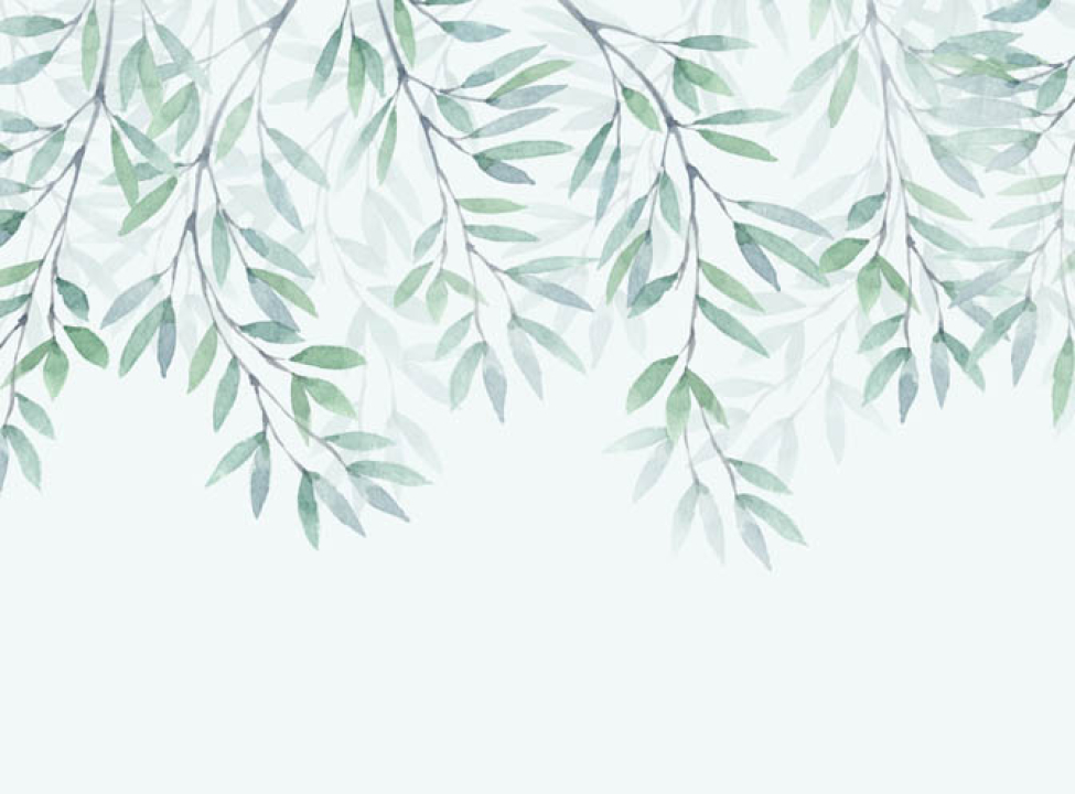 выбрать Фотошпалери листочки зі стелі Каталог фотошпалер на стіну