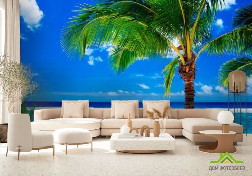 выбрать Фотообои Раскидистая пальма Фотообои Фотообои Пляж: фото  на стену
