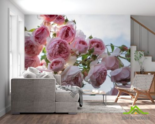 выбрать Фотообои крупные розовые бутоны Фотообои Фотообои Цветы:  на стену