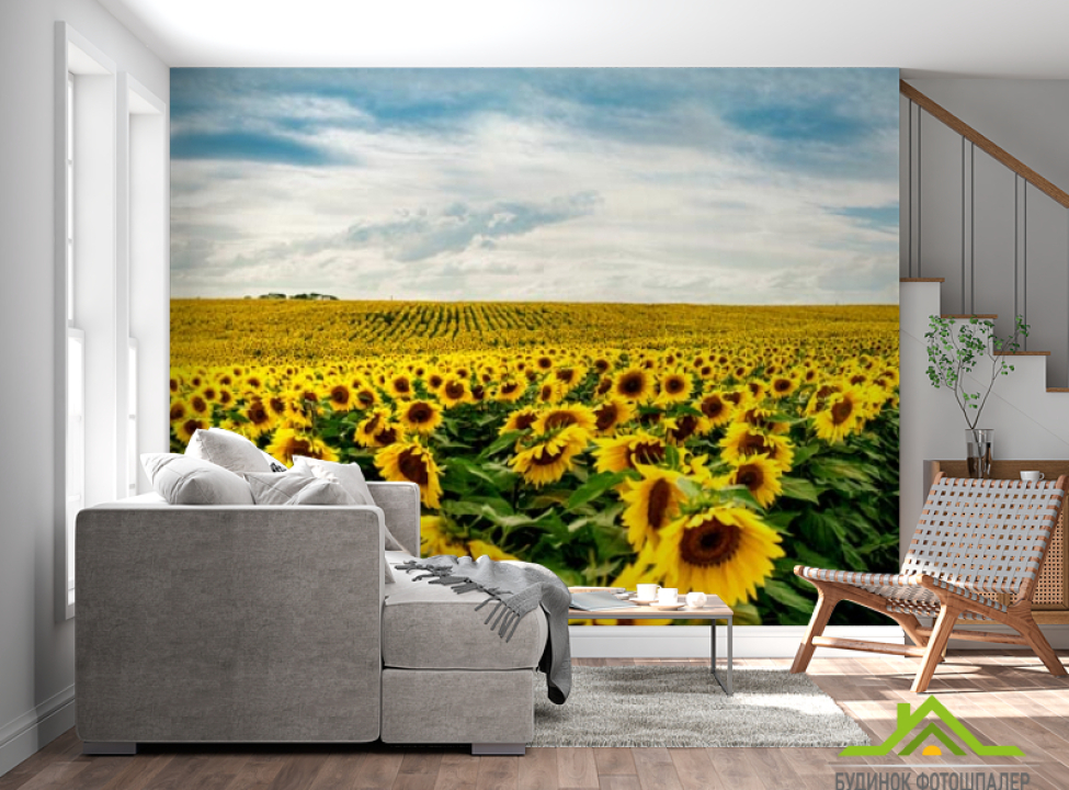 выбрать Фотообои большое поле подсолнухов Каталог фотообоев на стену