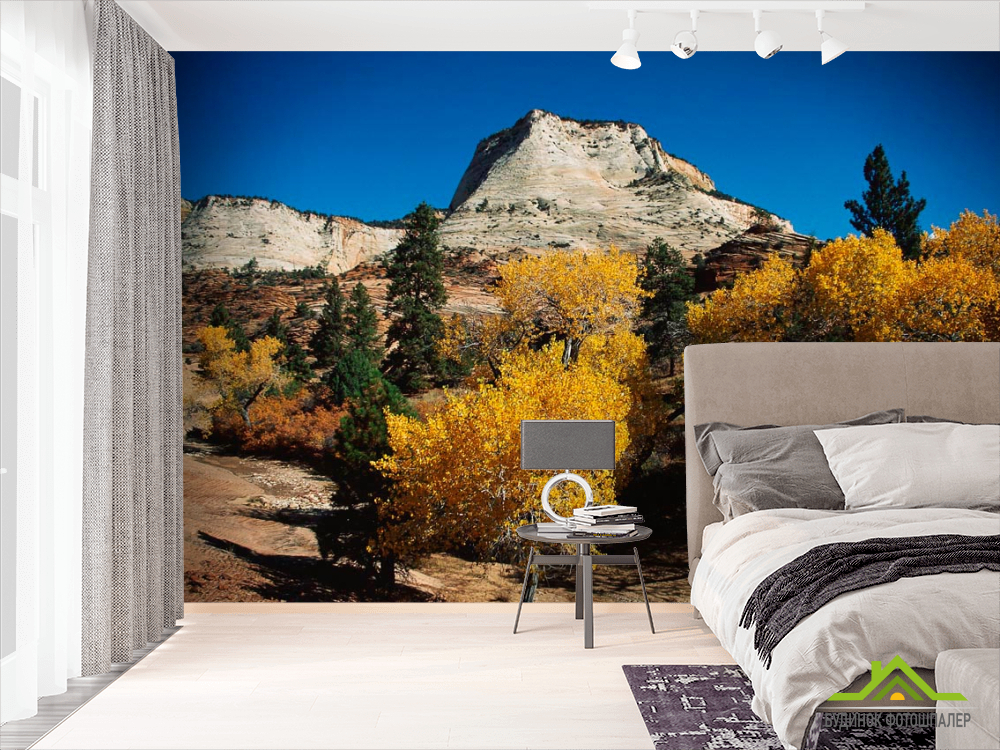 Фотообои Компас и карта