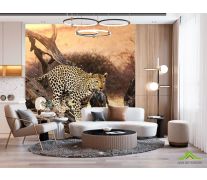 Фотообои леопард на ветке