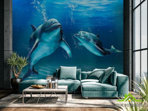 выбрать Фотообои Игры дельфинов Фотообои Фотообои Животные: фото, голубой  на стену