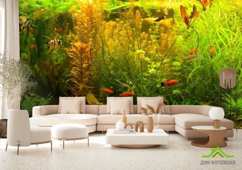 выбрать Фотообои аквариум Фотообои, цвет: «горизонталная, горизонтальная» на стену