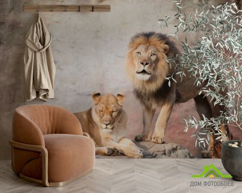 выбрать Фотообои Семейство львов Фотообои Животные на стену