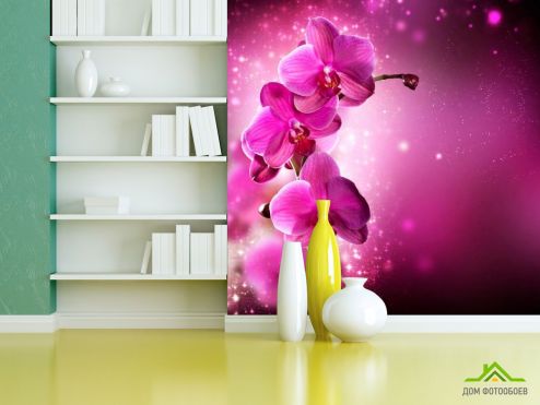 выбрать Фотообои Малиновые орхидеи веткой Розовые фотообои на стену