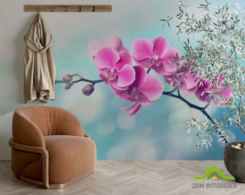 выбрать Фотошпалери Малинове квітуче дерево Фотошпалери Фотошпалери Квіти: фото  на стіну
