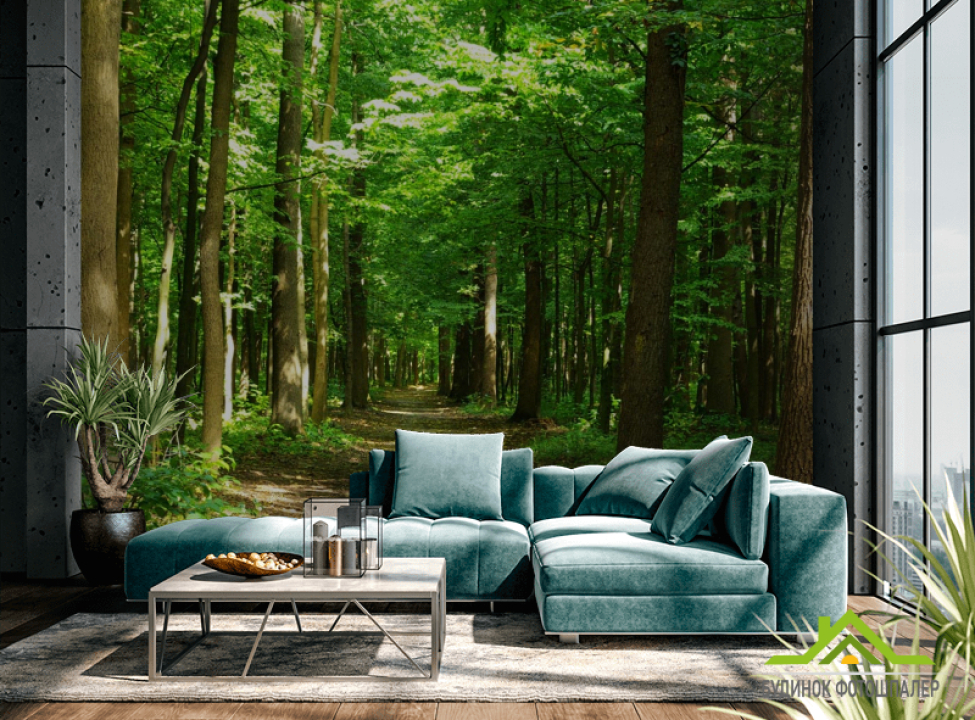выбрать Фотообои зеленый лес Каталог фотообоев на стену