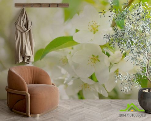 выбрать Фотообои белые цветочки на деревьях Фотообои Фотообои Цветы: горизонталная, горизонтальная ориентация на стену