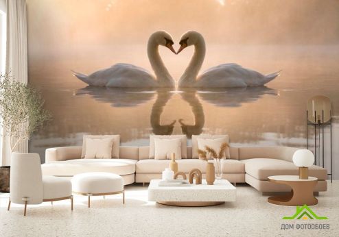 выбрать Фотообои Пара лебедей Фотообои Фотообои Животные: горизонталная, горизонтальная, фото ориентация на стену
