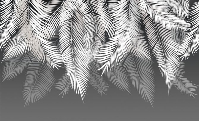 Фотообои белые листья пальмы
