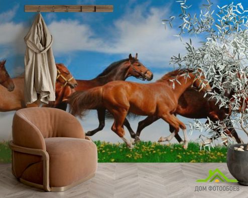 выбрать Фотообои Табун бегущих лошадей Фотообои Животные на стену