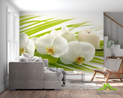 выбрать Фотообои Белая орхидея Фотообои Фотообои Цветы: горизонталная, горизонтальная, зелений, зеленый ориентация на стену