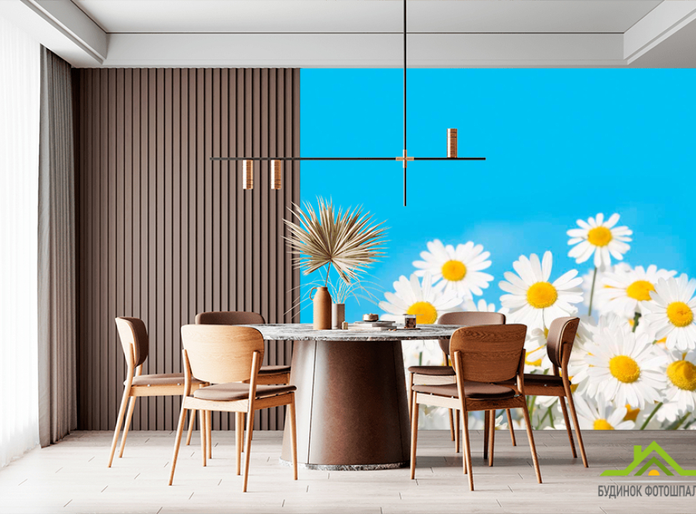 выбрать Фотошпалери Ромашки під небом Каталог фотошпалер на стіну