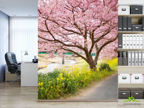 выбрать Фотообои Цветущие вишни Фотообои Фотообои Природа: вертикальная ориентация на стену