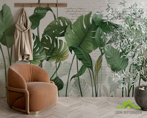 выбрать Фотообои Стена и тропические листья Фотообои тропические листья на стену