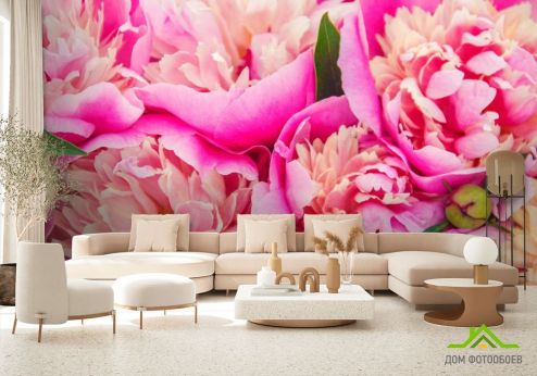 выбрать Фотообои Ярко розовые пионы Фотообои Цветы на стену