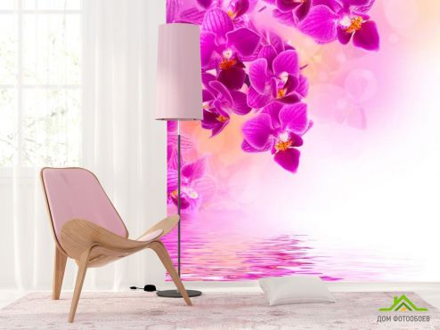 выбрать Фотообои Малиновые цветы над водой Фотообои Фотообои Цветы: фото, розовый  на стену