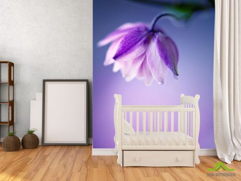 выбрать Фотошпалери бузковий квіточка на бузковому тлі Фотошпалери Фотошпалери Квіти: вертикальна орієнтація на стіну