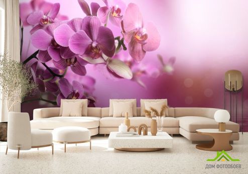 выбрать Фотошпалери рожеві орхідеї над водою Фотошпалери, колір: «квадратна, горизонтальна» на стіну