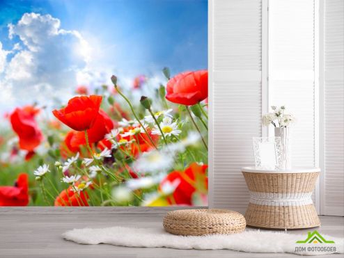 выбрать Фотообои Маки и ромашки Фотообои Цветы на стену