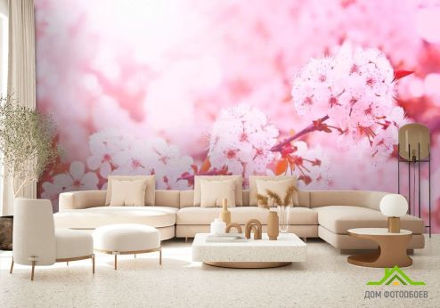 выбрать Фотообои Розовый вишневый цвет Фотообои Фотообои Вишня: горизонталная, горизонтальная ориентация на стену