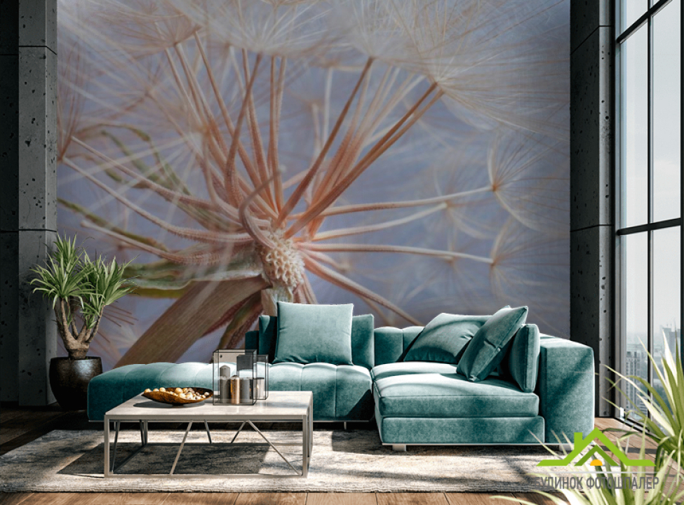 выбрать Фотошпалери Отцвевший кульбаба Фотошпалери Кульбаби на стіну