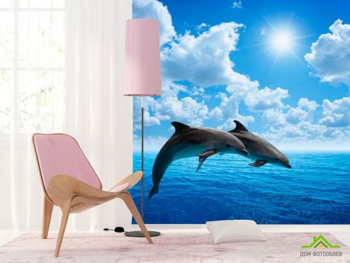 выбрать Фотошпалери Стрибки дельфінів Фотошпалери Фотошпалери Тварини: фото  на стіну