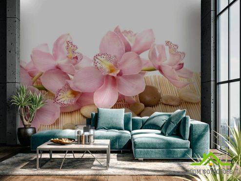 выбрать Фотообои Орхидея Фотообои Фотообои Цветы: фото, горизонталная, горизонтальная  на стену