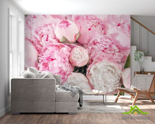 выбрать Фотообои Розовые пионы Фотообои Фотообои Цветы:  на стену