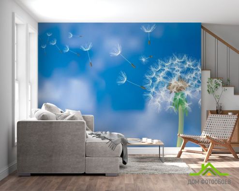 выбрать Фотообои Одуванчик на синем фоне Фотообои Цветы на стену