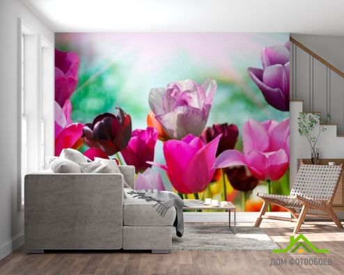 выбрать Фотообои Тюльпаны редких цветов Розовые фотообои на стену
