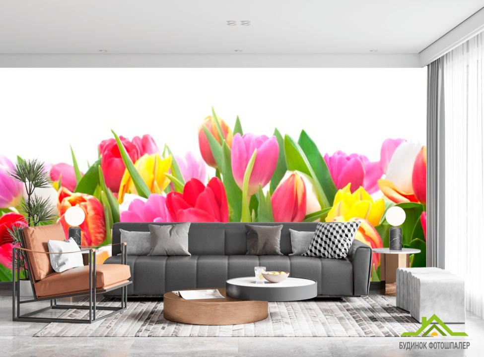выбрать Фотообои Тюльпаны Каталог фотообоев на стену