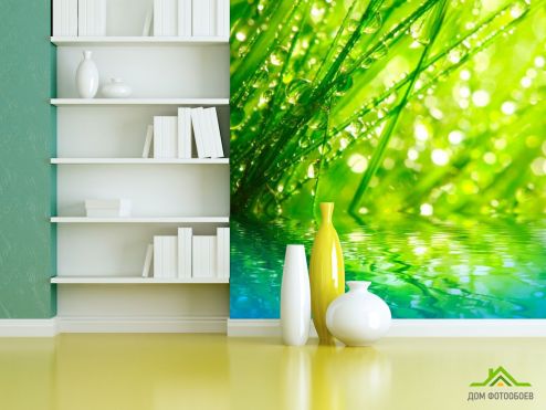 выбрать Фотообои Трава в росе Фотообои Фотообои Цветы: зелений, зеленый на стену