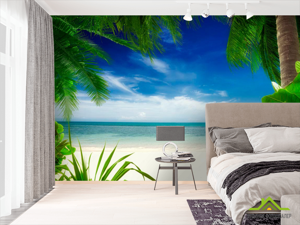 Фотошпалери Вид з-за пальми